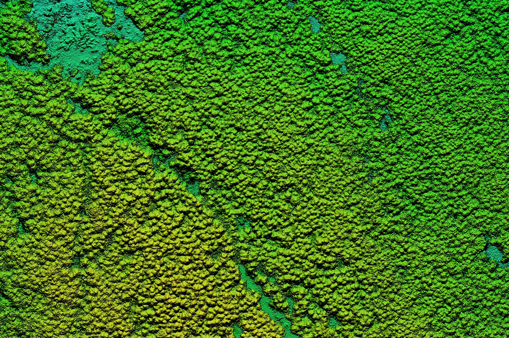 land_mapping